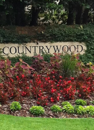 Countrywood